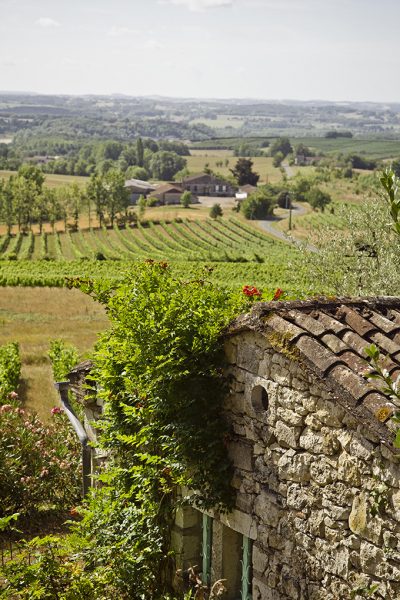 Vignoble Vignoble